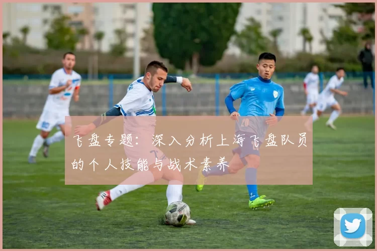 飞盘专题：深入分析上海飞盘队员的个人技能与战术素养