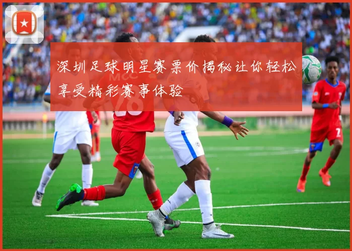 深圳足球明星赛票价揭秘让你轻松享受精彩赛事体验